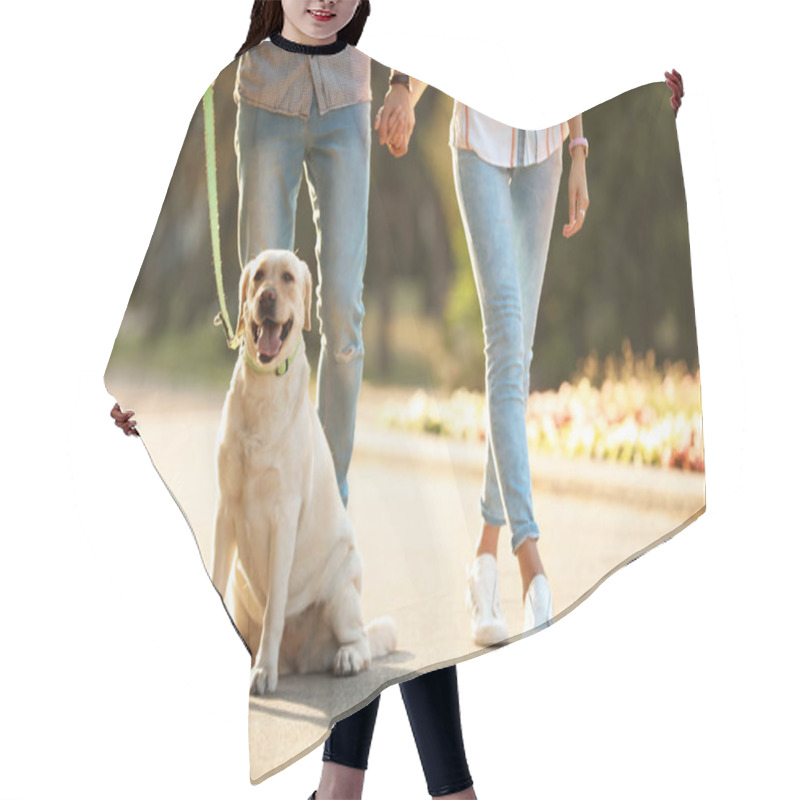 Personality  Owners Walking Their Yellow Labrador Retriever Outdoors Hair Cutting Cape