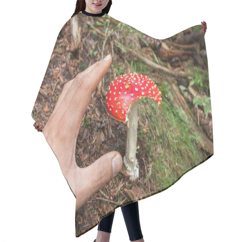 Personality  Young Amanita Muscaria Grown Up Inside A Forest In Dolomites (Italy) Hair Cutting Cape