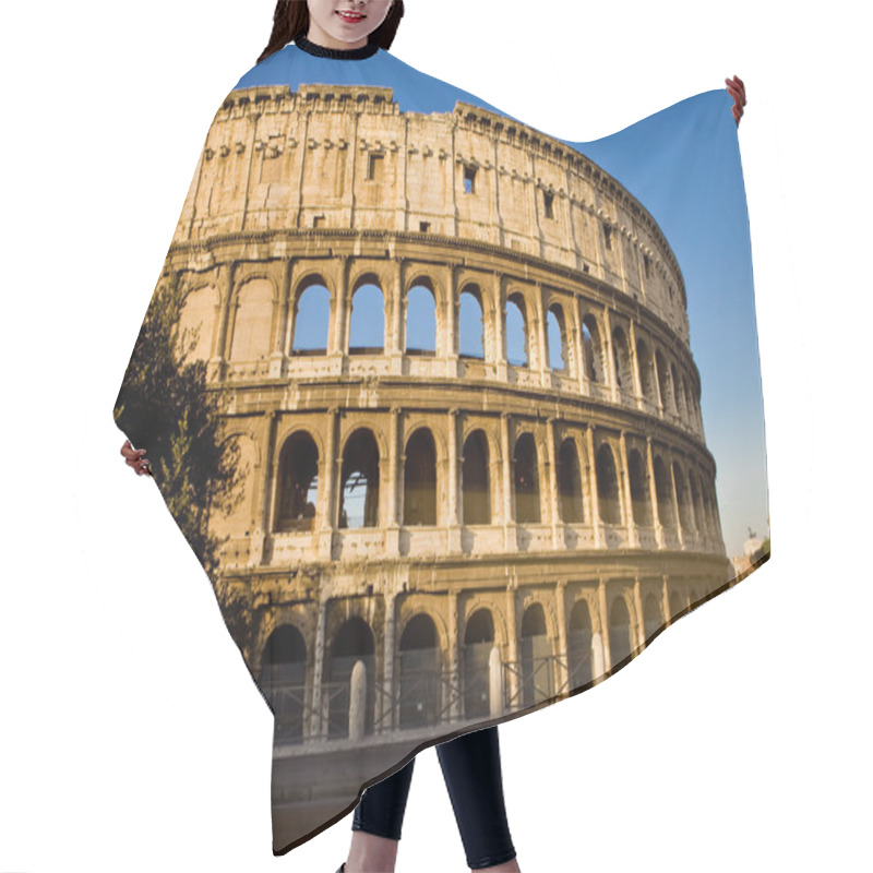 Personality  Colosseum Hair Cutting Cape