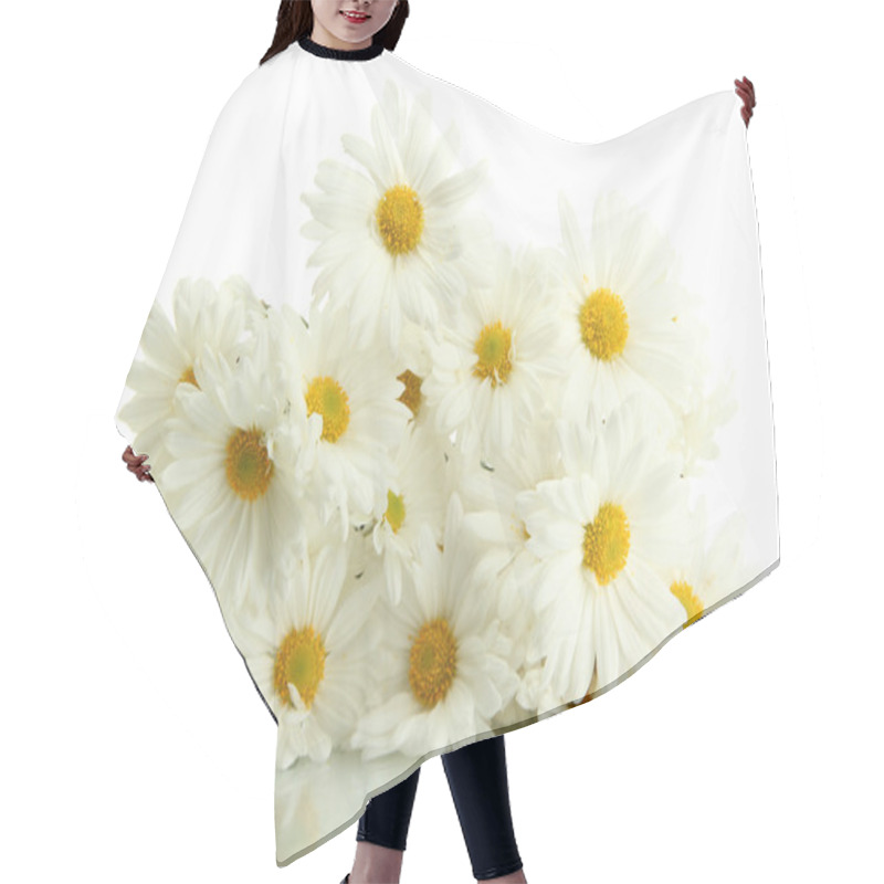 Personality  Bouquet Of Beautiful Daisies Flowers, Isolated On White Hair Cutting Cape