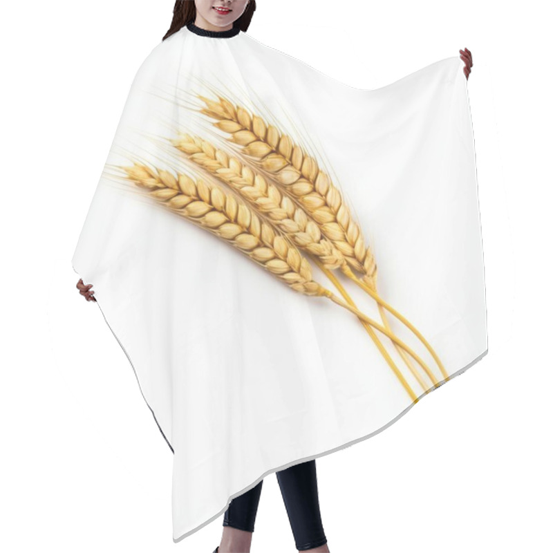 Personality  Three Golden Wheat Stalks Showcasing A Rich Harvest Ambiance. Hair Cutting Cape