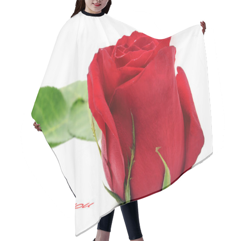 Personality  I Love You And Rose Hair Cutting Cape