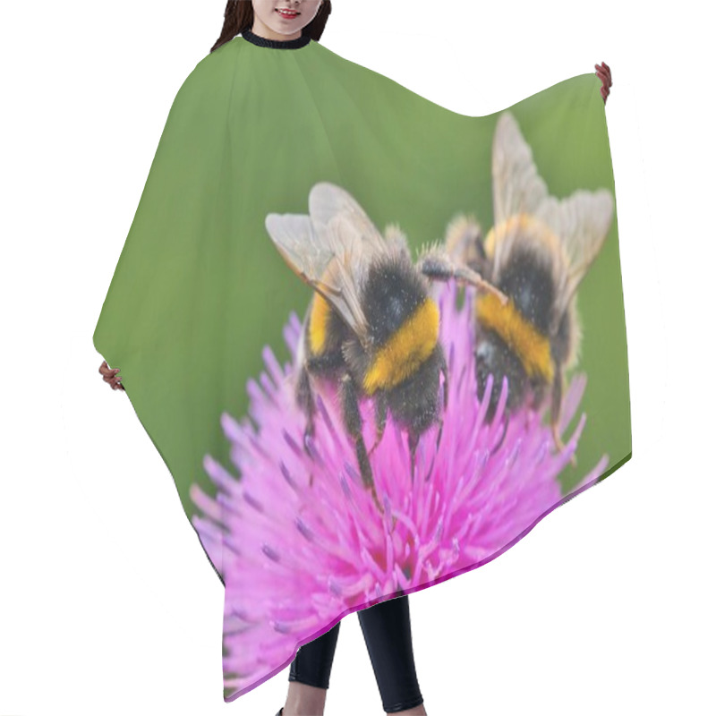 Personality  Macro Shot, Two Bees On A Pink Thistle Hair Cutting Cape