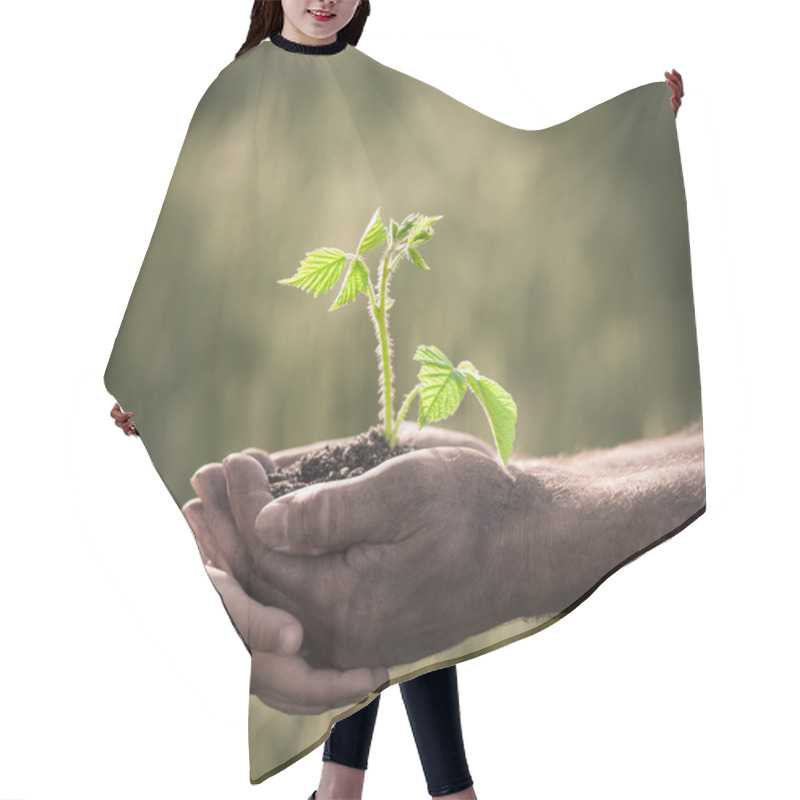 Personality  Young Plant Against Dark Background Hair Cutting Cape