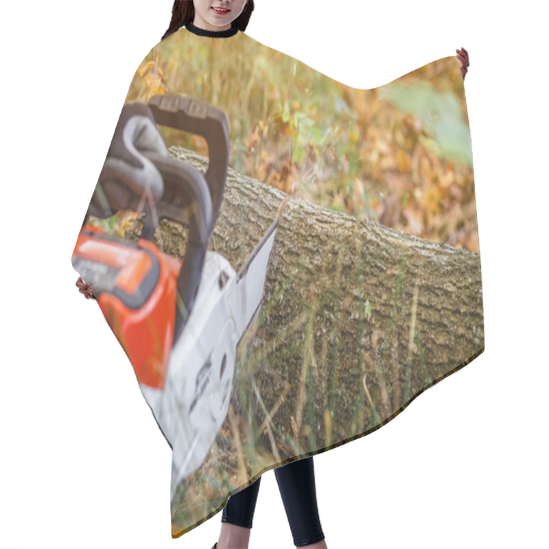 Personality  Lumberjack Sawing A Tree Trunk In Forest Hair Cutting Cape