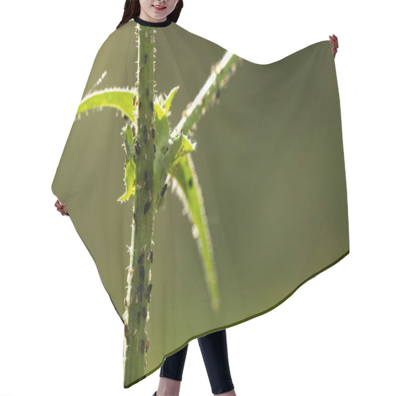 Personality  Insects In The Plants Hair Cutting Cape