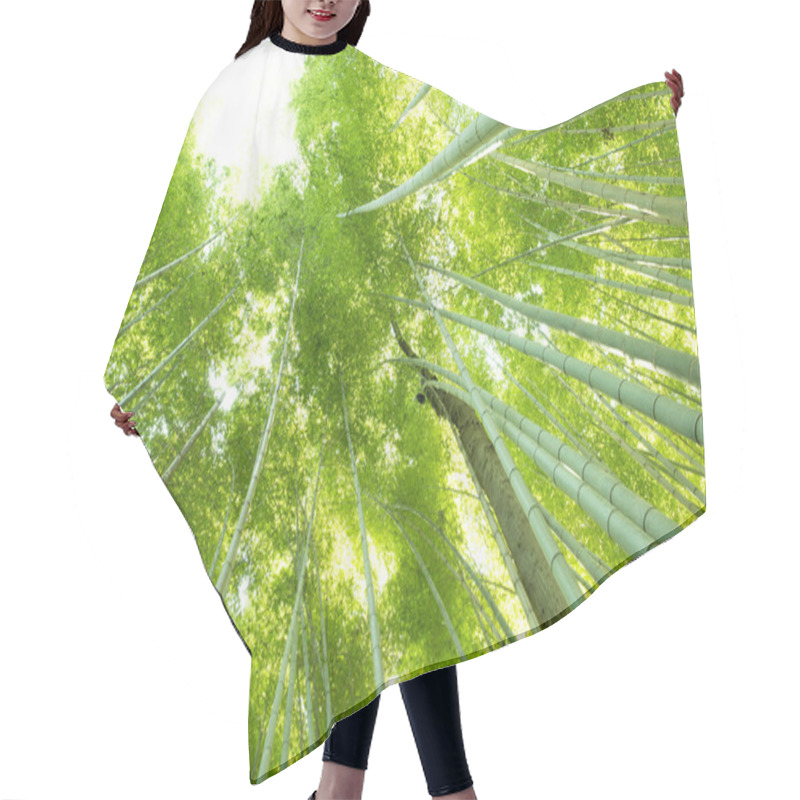 Personality  Bamboo Forest In Japan Hair Cutting Cape