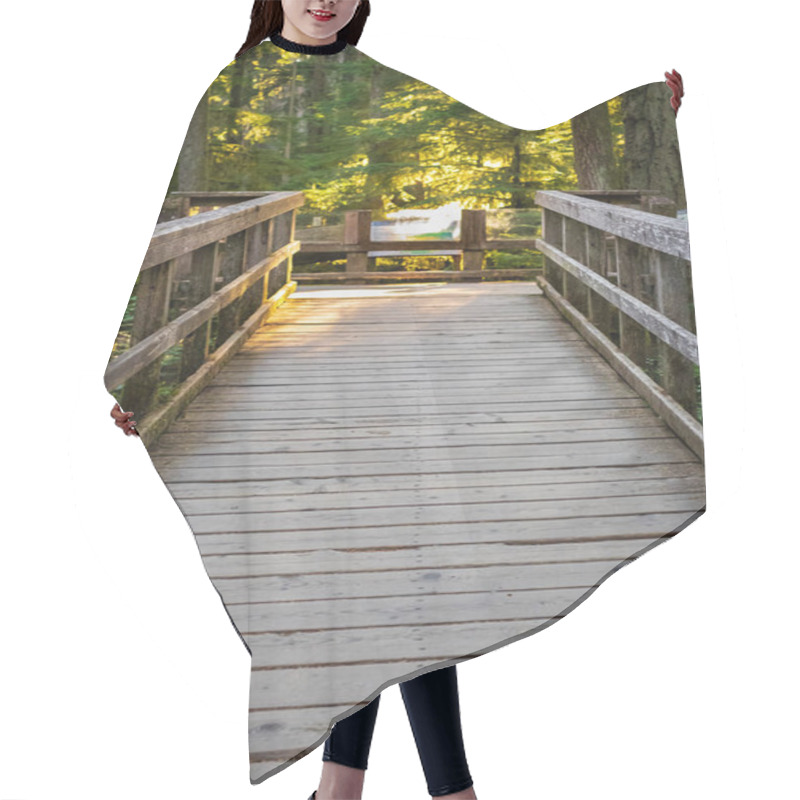 Personality  Eco Path Wooden Walkway In The Forest. Ecological Trail Path. Wooden Path In The National Park In Canada. Travel Photo, Selective Focus, Nobody Hair Cutting Cape