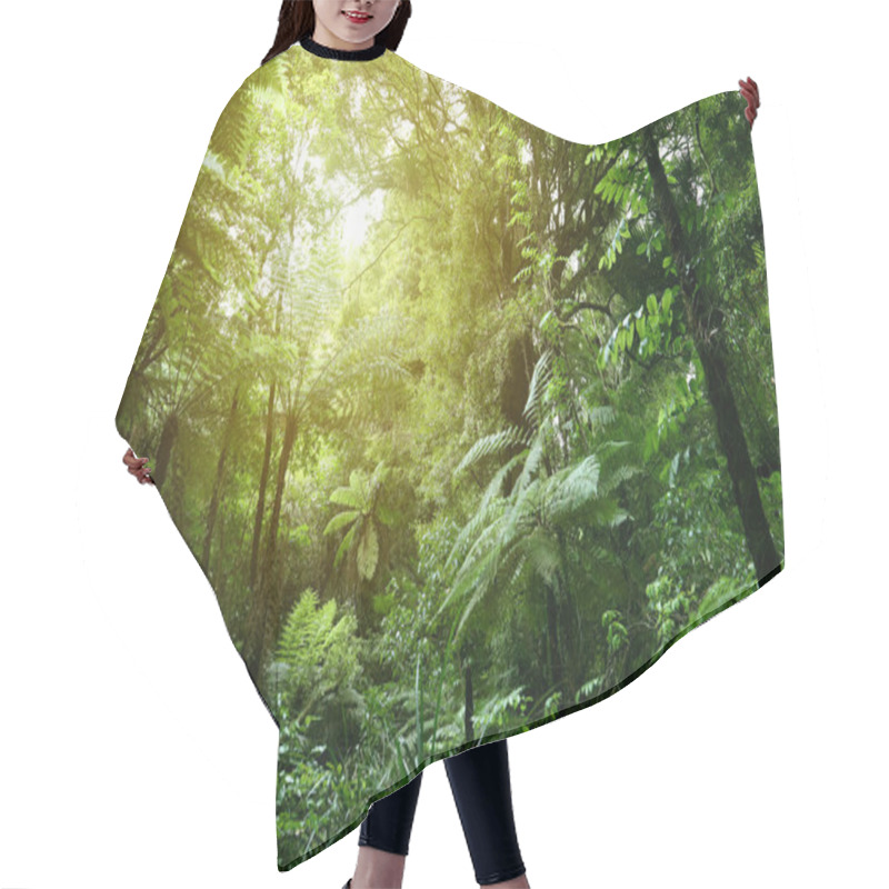 Personality  Sunlight In Jungle Hair Cutting Cape