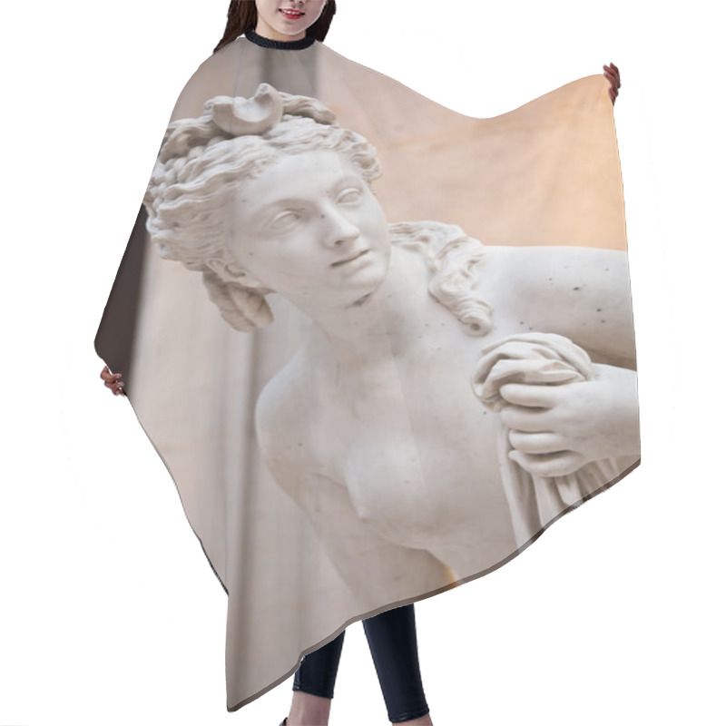 Personality  Venus - Lateral Profile Hair Cutting Cape