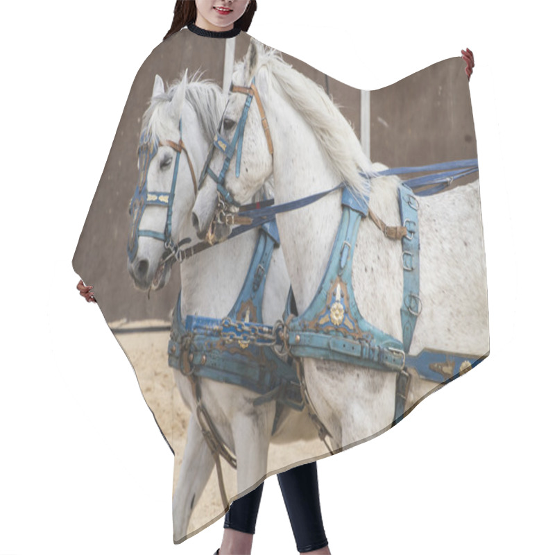 Personality  Roman Chariots Hair Cutting Cape