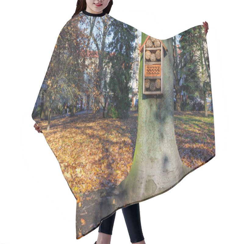 Personality  Osmium Bee House On A Large Plane Tree In The City Park. High Quality Photo Hair Cutting Cape