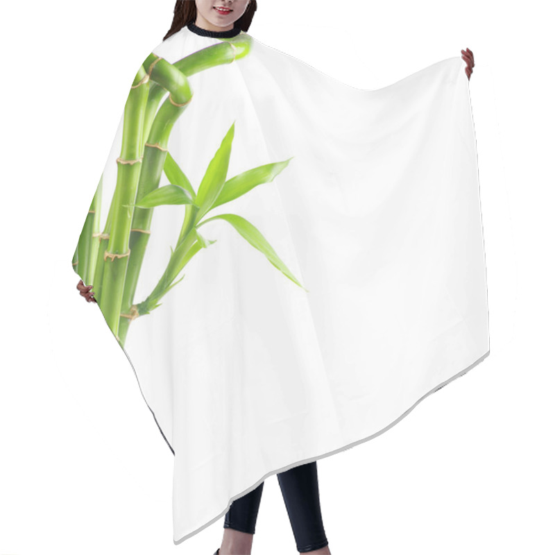 Personality  Bamboo On White Background Hair Cutting Cape