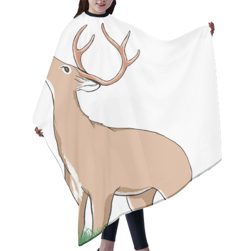 Personality   Deer With Antlers Standing On Grass Looking Up Hair Cutting Cape