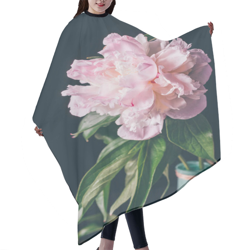 Personality  Big Light Pink Peony In Vase On Dark Background Hair Cutting Cape