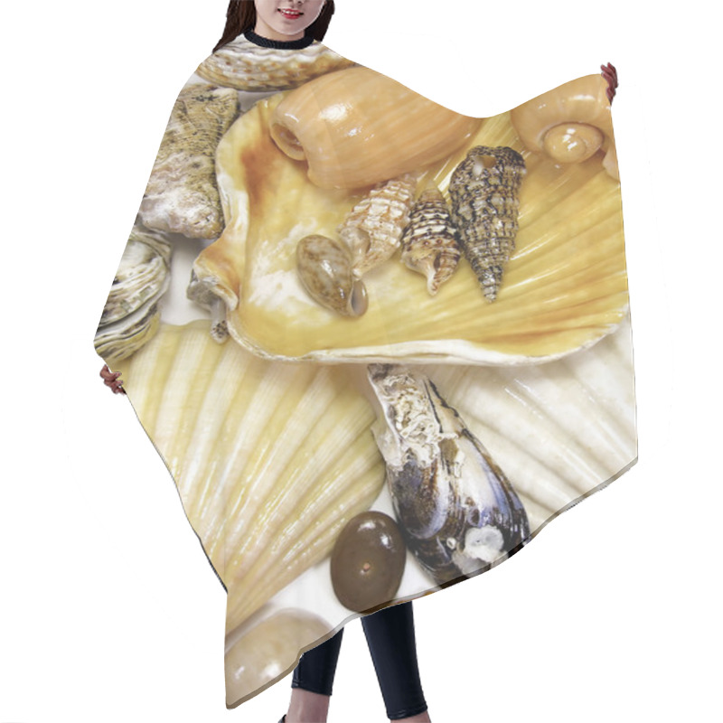 Personality  Several Sea Shells On White Hair Cutting Cape