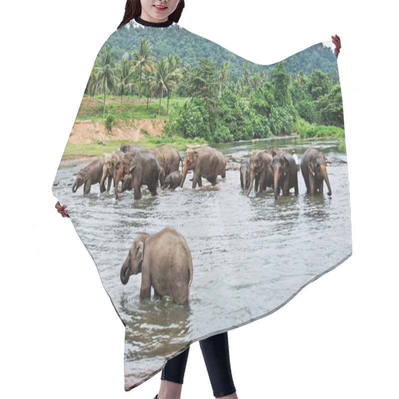 Personality  Flock Of Elephants In The River Hair Cutting Cape