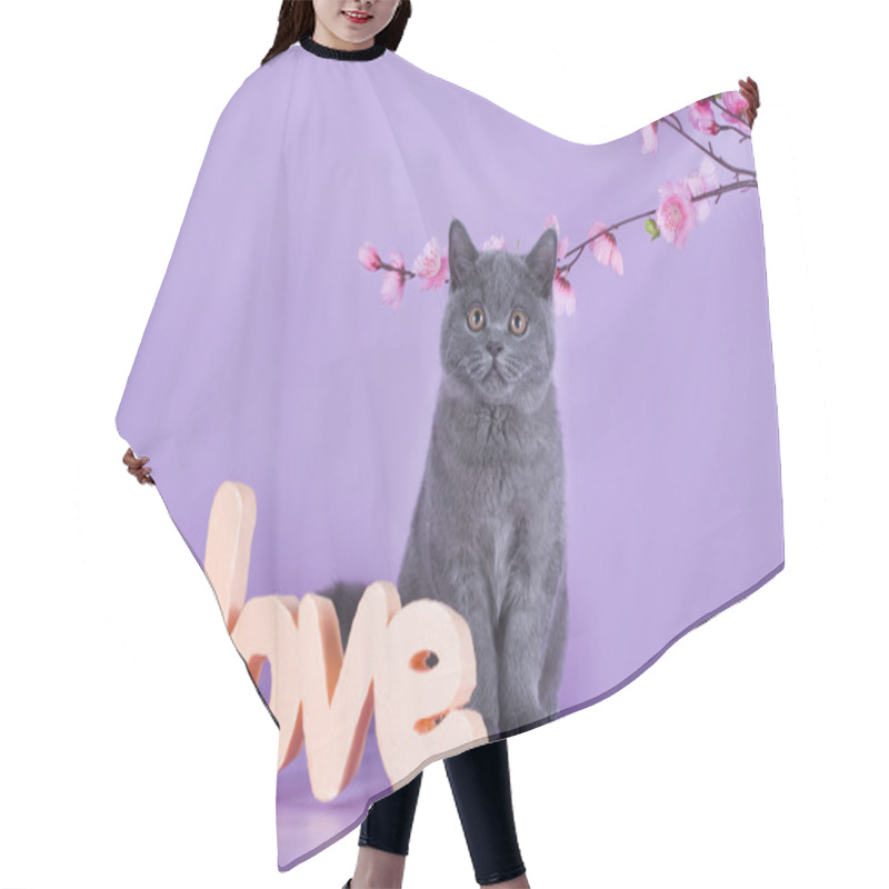 Personality  British Kitten With A Sprig Isolated On A Purple Background Hair Cutting Cape