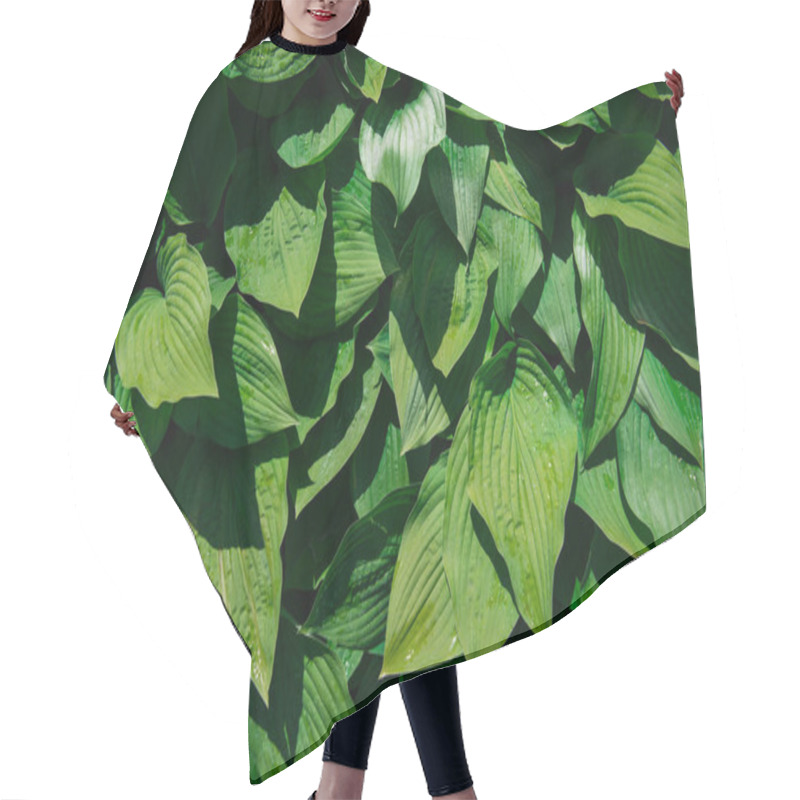 Personality  Green Leaves Background With Sunlight And Shadow Hair Cutting Cape