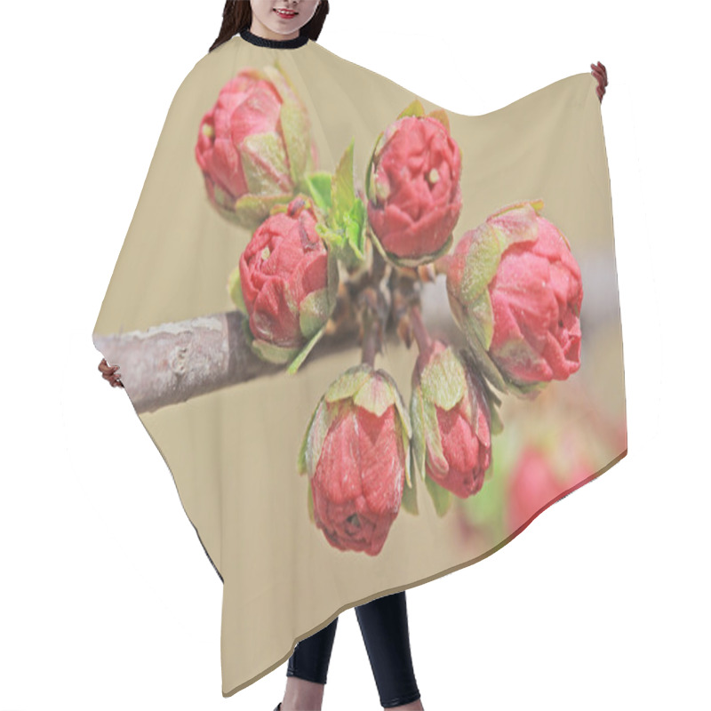 Personality  Hitom Flower Bud Hair Cutting Cape