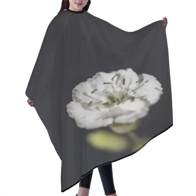 Personality  White Small Flower Blossom Close Up Background Botanical High Quality Big Size Prints Hair Cutting Cape