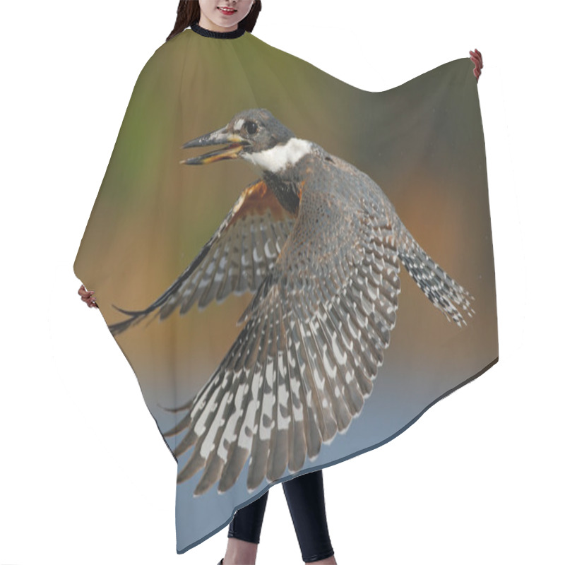 Personality  Flying Bird Ringed Kingfisher Hair Cutting Cape