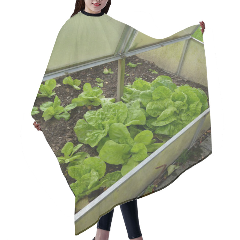 Personality  Small Greenhouse Hair Cutting Cape