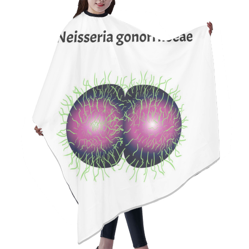 Personality  Gonococcus Structure. Neisseria Gonorrhoeae. Gonorrhea Disease. Venereal Disease. Infographics. Vector Illustration On Isolated Background. Hair Cutting Cape