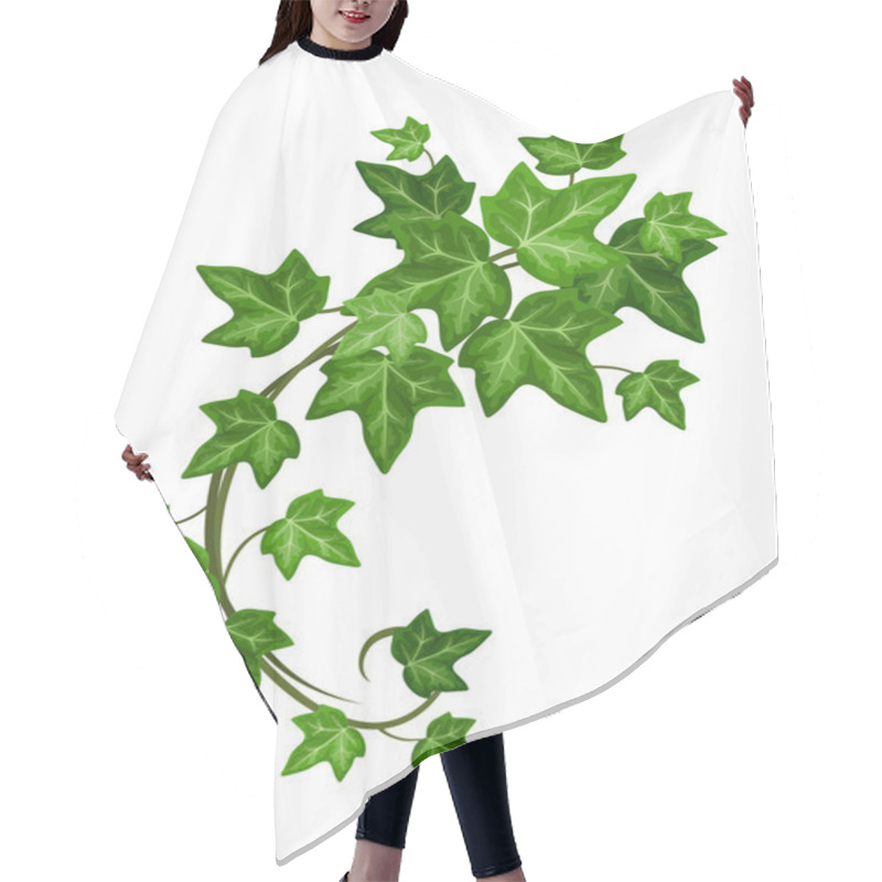 Personality  Ivy Branch. Vector Illustration. Hair Cutting Cape