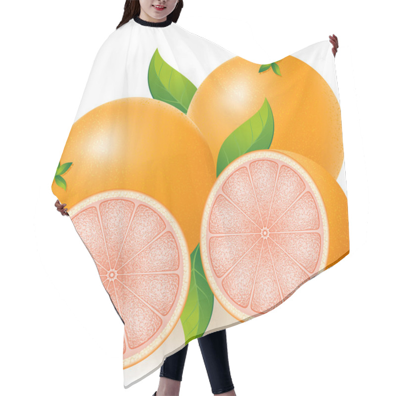 Personality  Grapefruit Vector Illustration Hair Cutting Cape