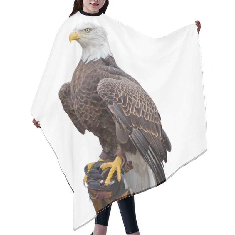 Personality  American Bald Eagle Hair Cutting Cape