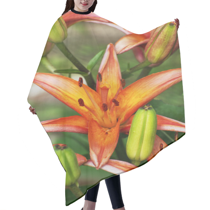 Personality  Orange Lily Flowers Hair Cutting Cape