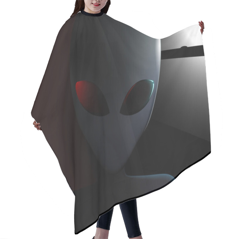 Personality  Alien Visitor Next To Window At Night Hair Cutting Cape