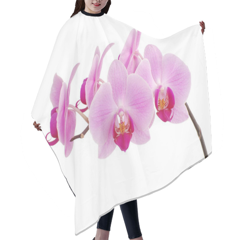 Personality  Orchid Flowers Petals, Phalaenopsis Hair Cutting Cape