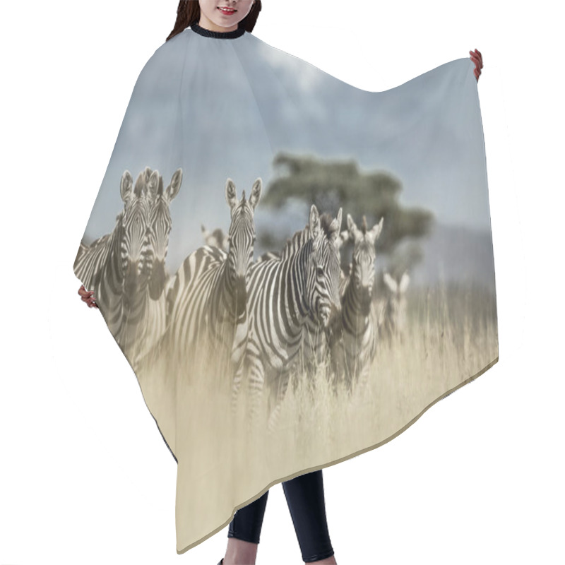 Personality  Herd Of Zebra In The Wild Savannah, Serengeti, Africa Hair Cutting Cape