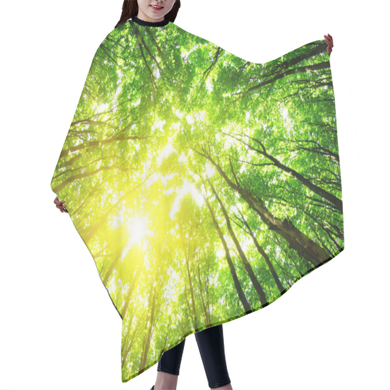 Personality  Forest Hair Cutting Cape