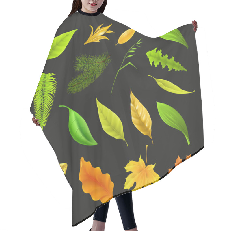 Personality  Leaf Collection, On Black Vector Hair Cutting Cape