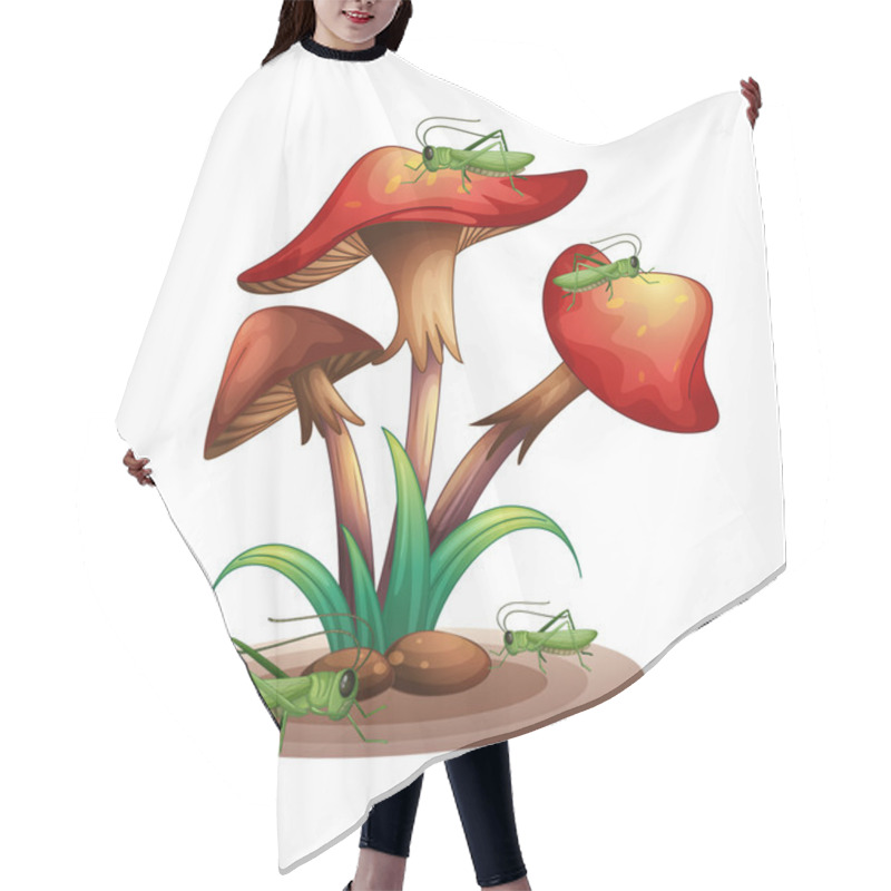 Personality  Mushrooms With Grasshoppers Hair Cutting Cape