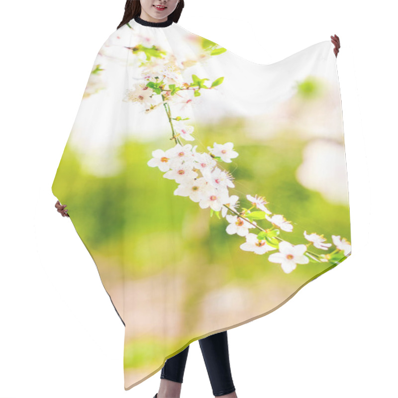 Personality  Cherry Tree Blossom In Spring, White Flowers As Nature Backgroun Hair Cutting Cape