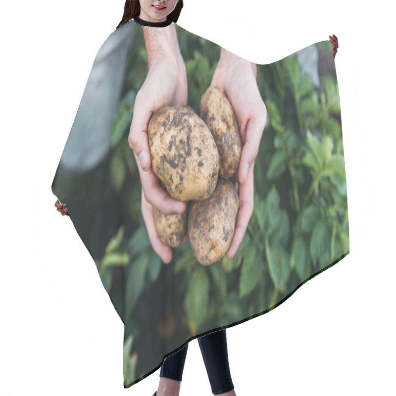 Personality  Farmer Holding Potatoes In Field Hair Cutting Cape