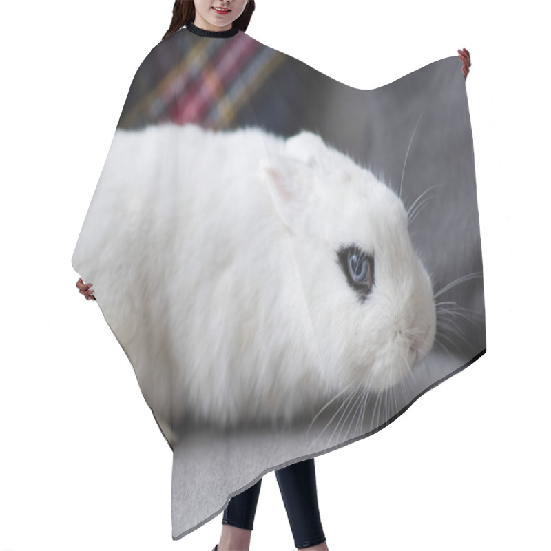 Personality  Cute White Rabbit With Black Eye Hair Cutting Cape