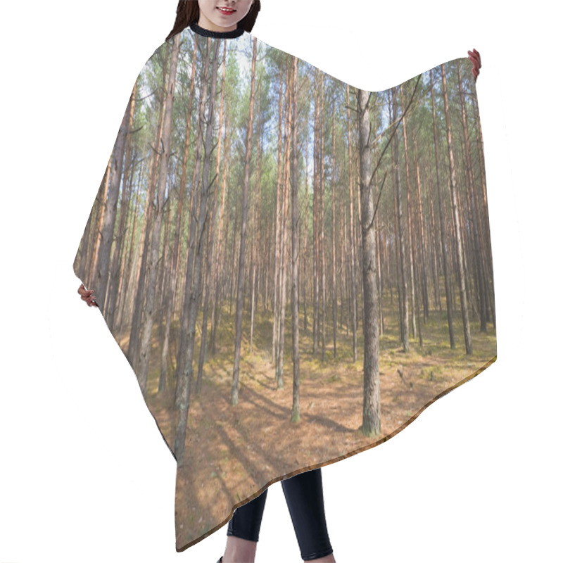 Personality  Spring Forest Hair Cutting Cape