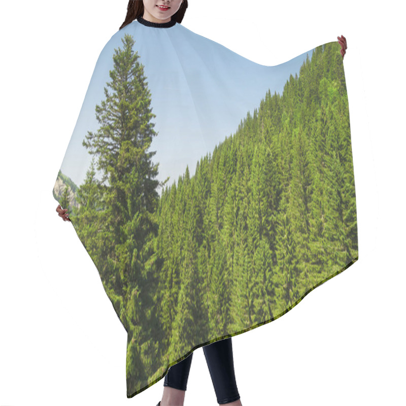 Personality  Pine Trees In The Mountains At Daytime Hair Cutting Cape