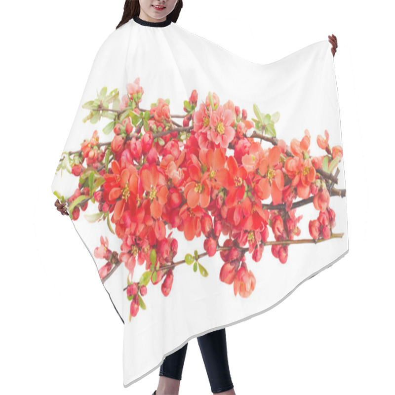 Personality  Blossoming Tree Flowers Hair Cutting Cape