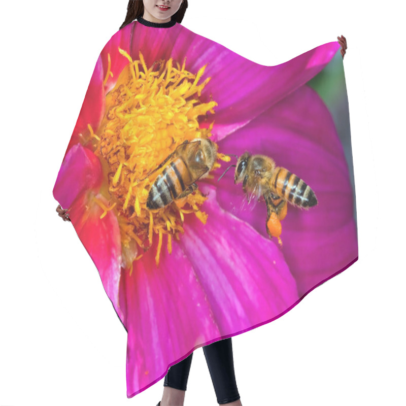 Personality  Two Bees On A Yellow And Purple Flower Hair Cutting Cape