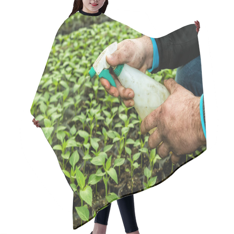 Personality  Close Up In The Hands Of A Man While Spraying The Small Plants I Hair Cutting Cape