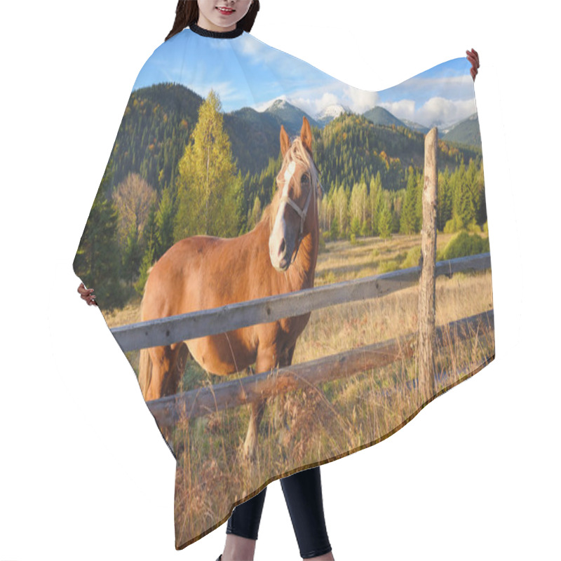 Personality  Brown Horse On A Mountain Pasture Behind A Wooden Fence On The B Hair Cutting Cape