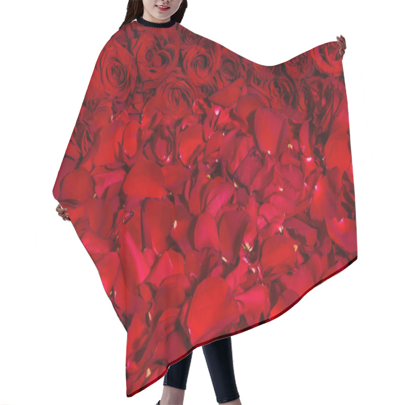 Personality  Red Roses Close-up, Texture Of Flowers. Hair Cutting Cape