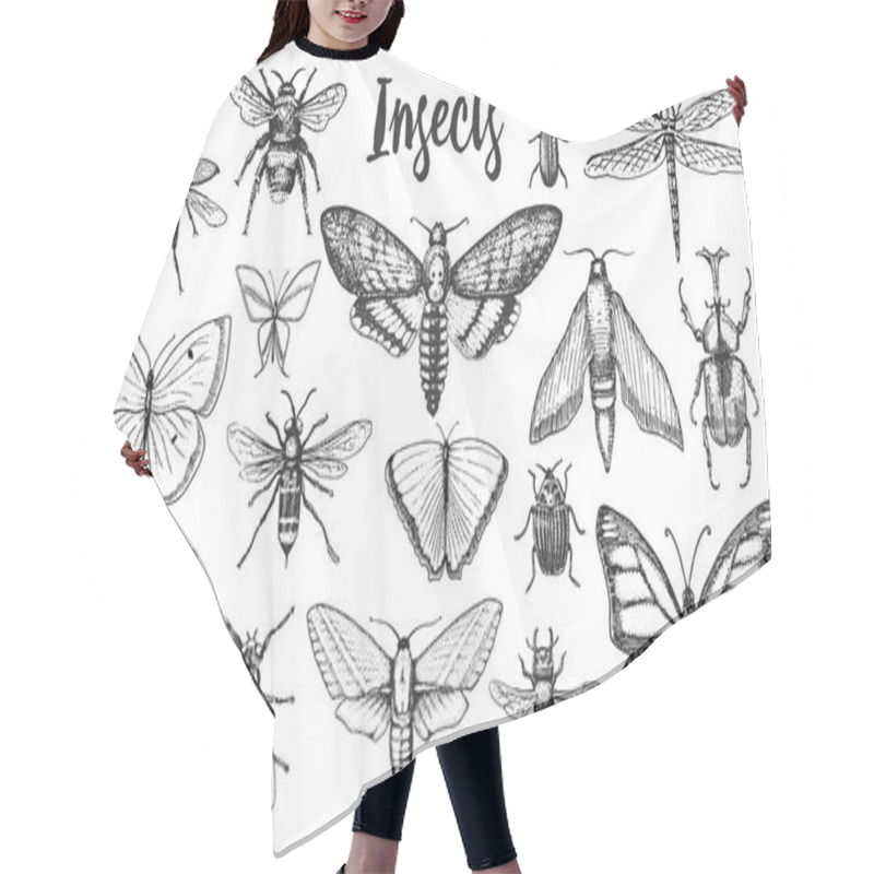 Personality  Different Insects Set. Butterfly And Dragonfly, Bug And Pet Bee. Mystical Symbol Of Freedom. Entomological Collection. Engraved Hand Drawn In Old Sketch Vintage Style. T-shirt Or Scrapbooking Design. Hair Cutting Cape