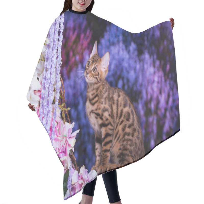 Personality  View Of Bengal Cat Playing At Home  Hair Cutting Cape